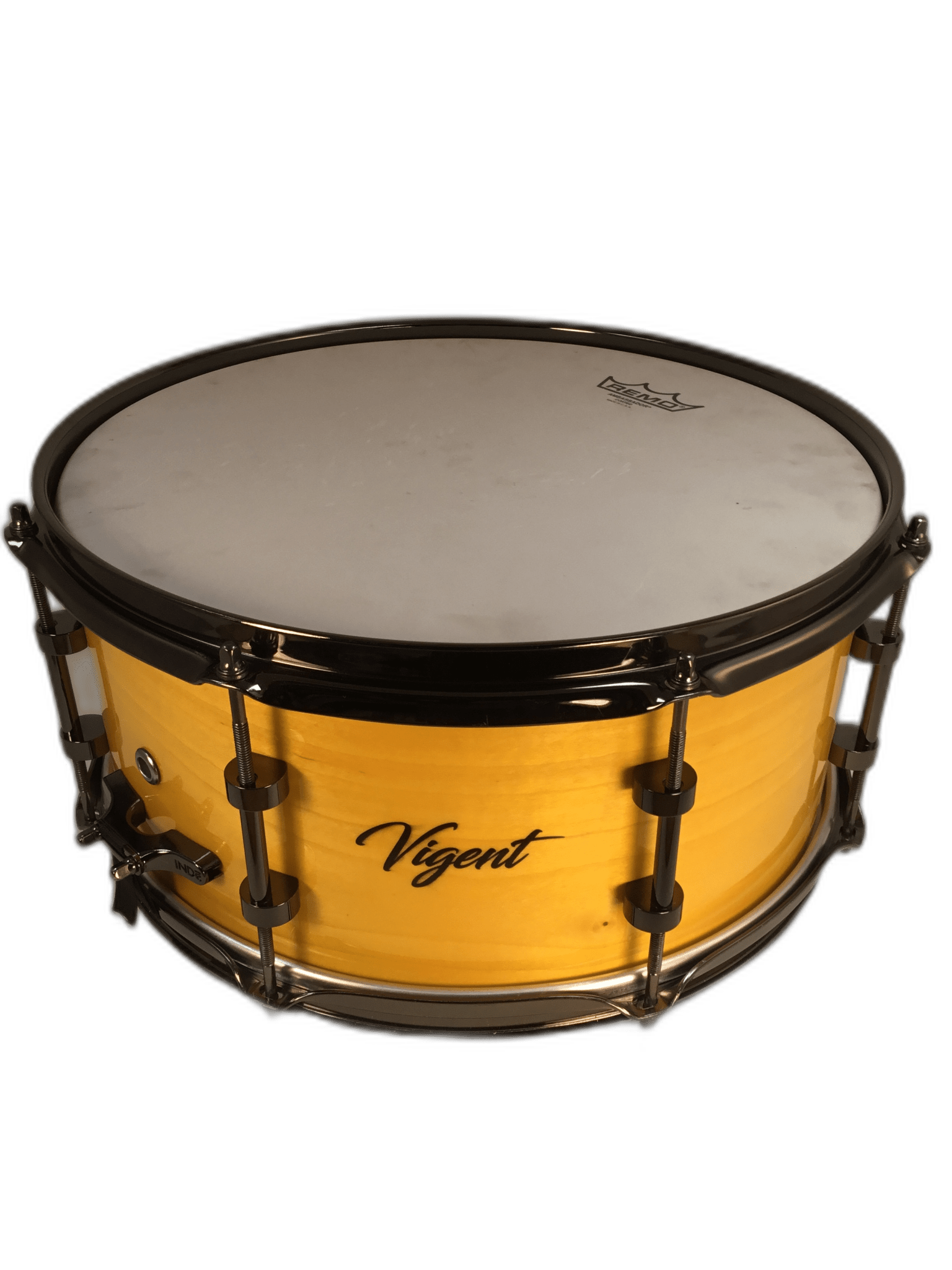 Vigent Drums 6.5x14 Yellow Maple Snare - Vigent Drums